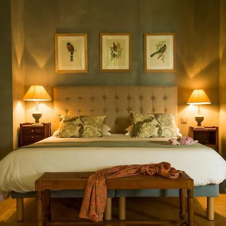 Vakantiehuis Bastide Des Tourelles Pour 20 Pers. Piscine &